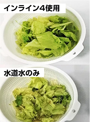 抗酸化力